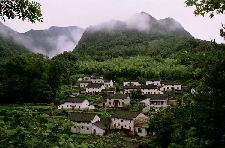 风景秀丽，来石台仙寓山为身心做一个“森林浴”SPA